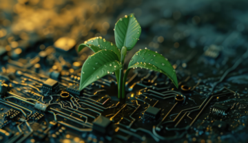 How to Reduce Your Digital Footprint with Eco-Friendly Practices